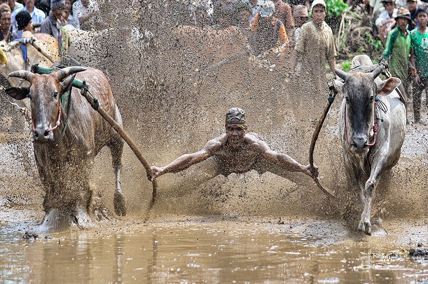 sony-world-photography-awards-2014-winners-6