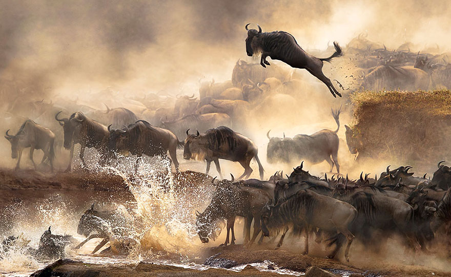 sony-world-photography-awards-2014-winners-7