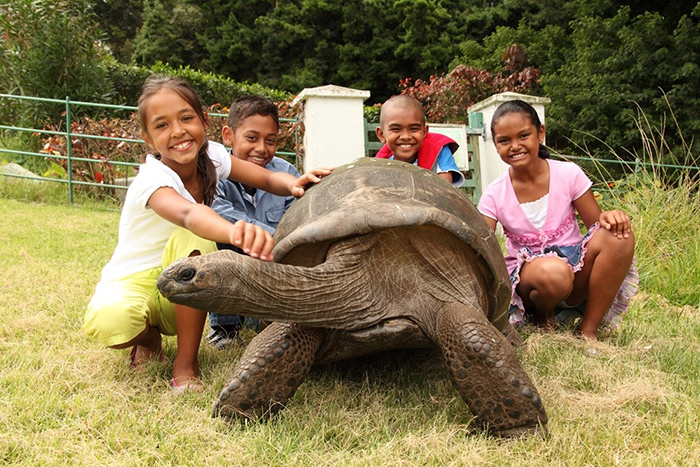 182-year-old-tortoise-jonathan-1