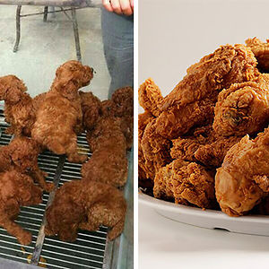 Puppies Look Like Fried Chicken