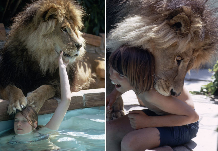 pet-lion-neil-film-michael-rougier-13