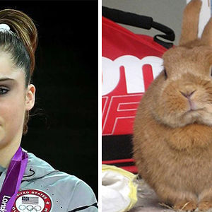 Mckayla Maroney Looks Like This Bunny