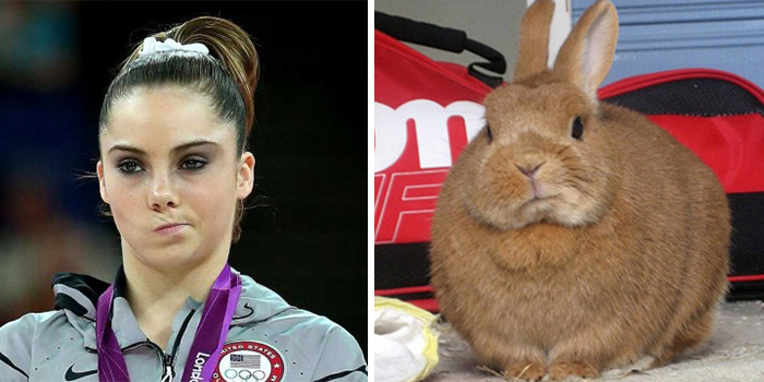 Mckayla Maroney Looks Like This Bunny