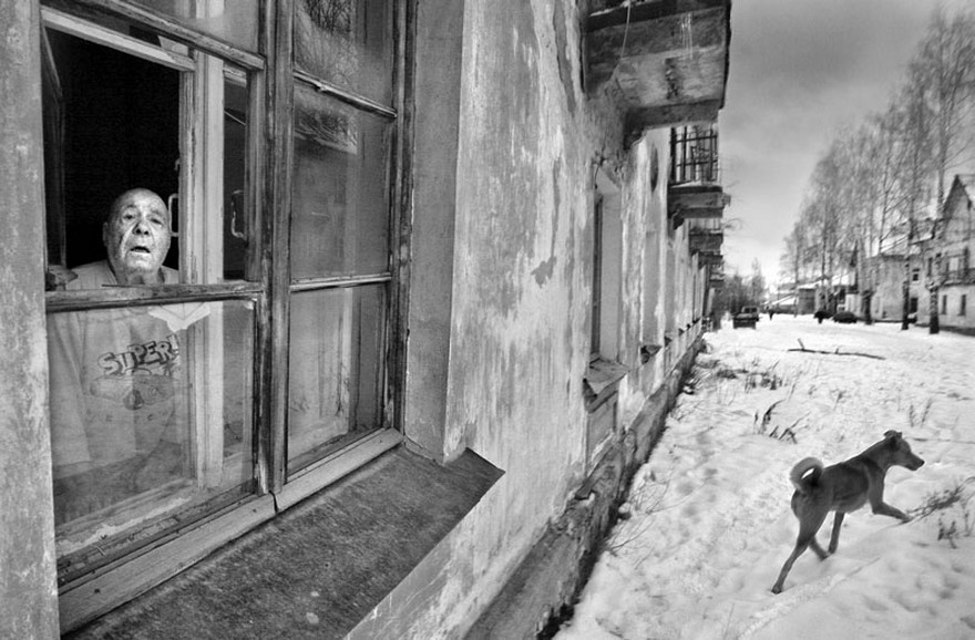 Александр Петросян Фотографии Александр Петросян Фотографии