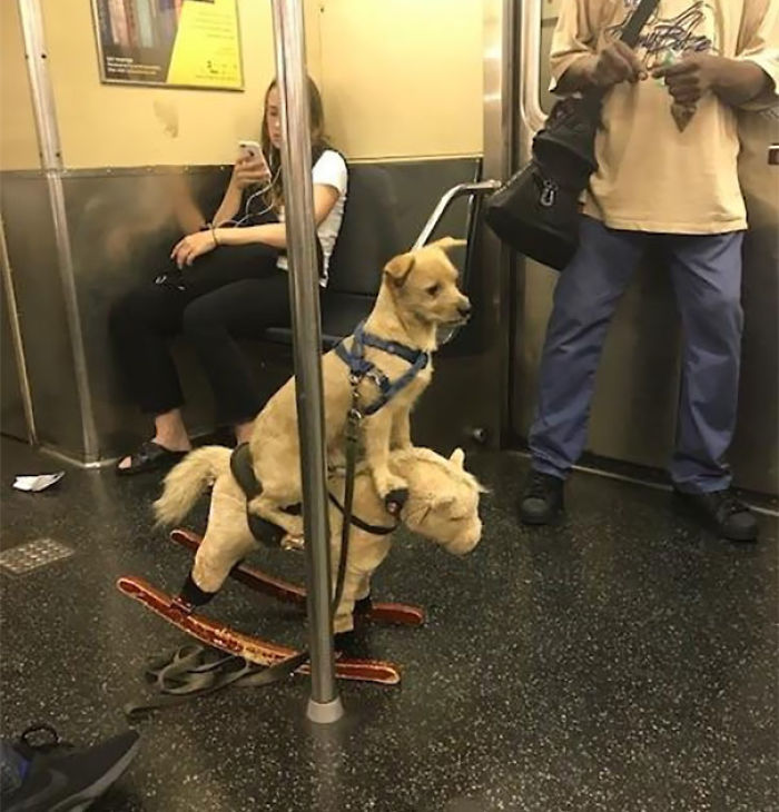 Stranger watching subway images