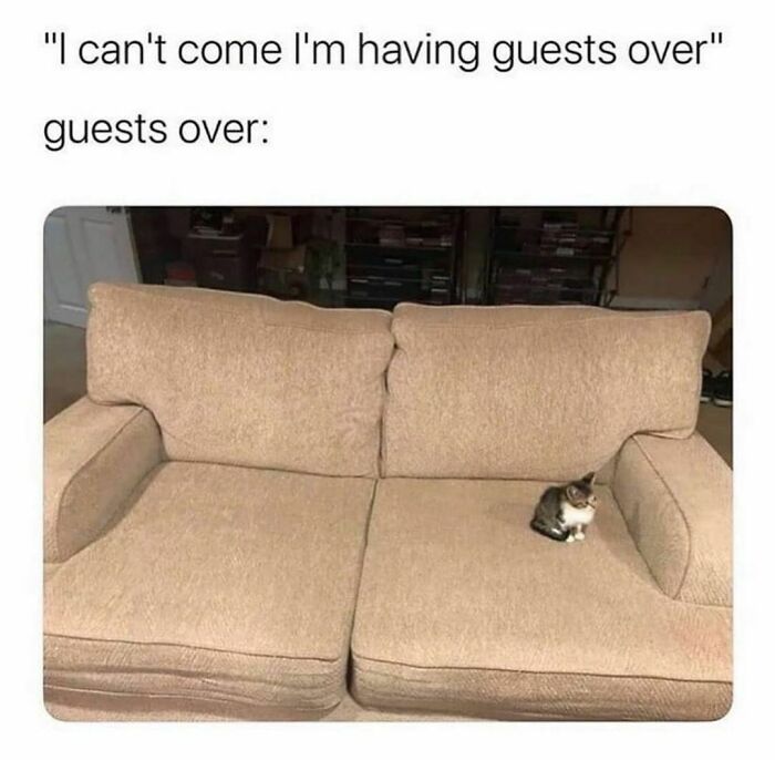 Guests over