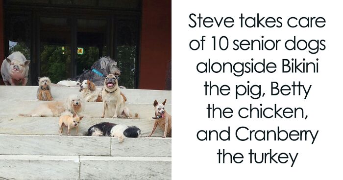 Retiree Devotes His Life To Caring For Senior Dogs In Need Of A Loving Home