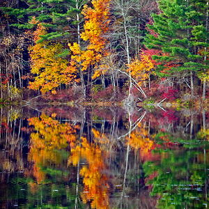 These 20+ Beautiful Autumn Photos Will Inspire You To Grab Your Camera ...