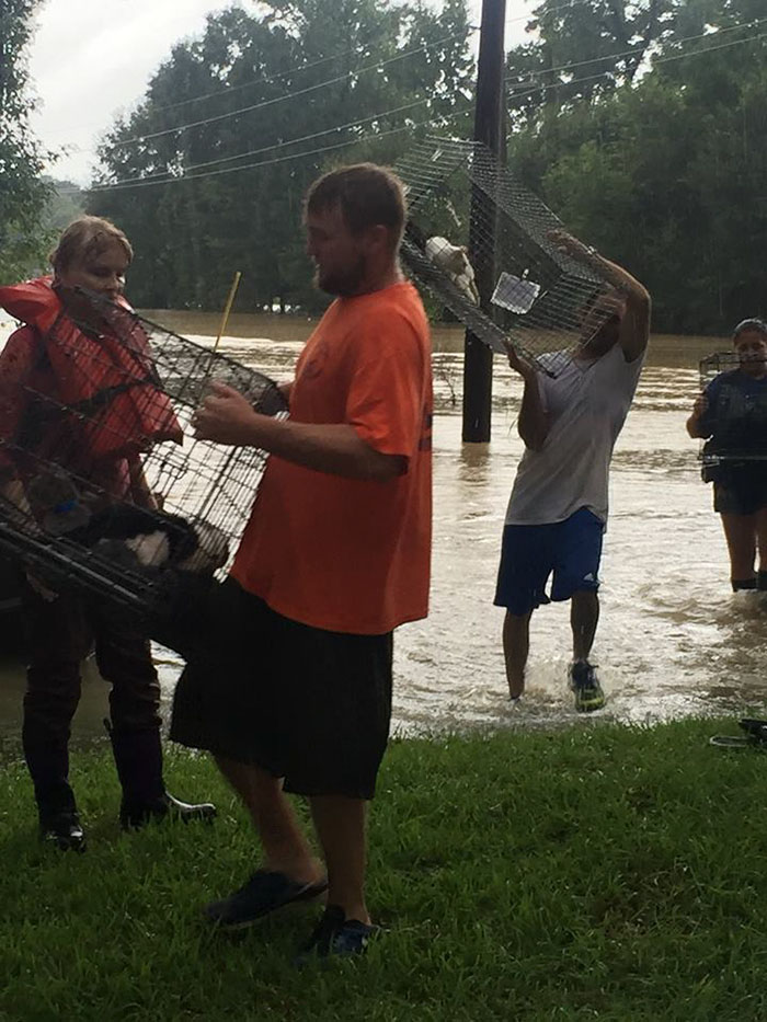 https://www.boredpanda.com/blog/wp-content/uploads/2016/08/rescue-animals-drowning-louisiana-floods-10.jpg