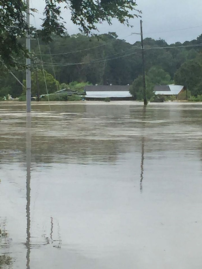 https://www.boredpanda.com/blog/wp-content/uploads/2016/08/rescue-animals-drowning-louisiana-floods-12.jpg