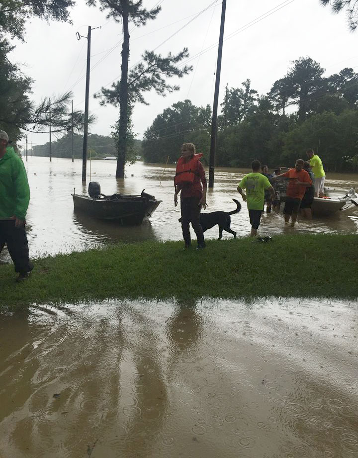 https://www.boredpanda.com/blog/wp-content/uploads/2016/08/rescue-animals-drowning-louisiana-floods-3.jpg