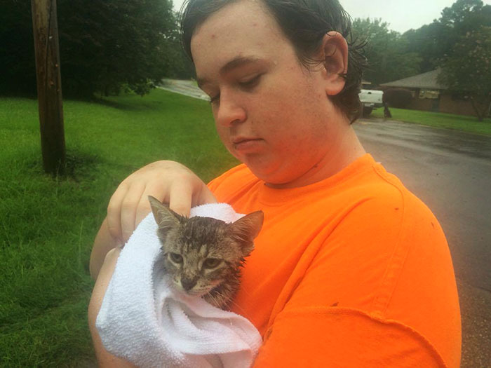 https://www.boredpanda.com/blog/wp-content/uploads/2016/08/rescue-animals-drowning-louisiana-floods-6.jpg