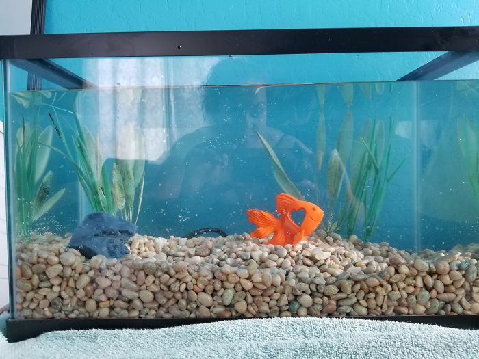 Аквариум куб зеленые. Golden Fish Tank 2 слот.