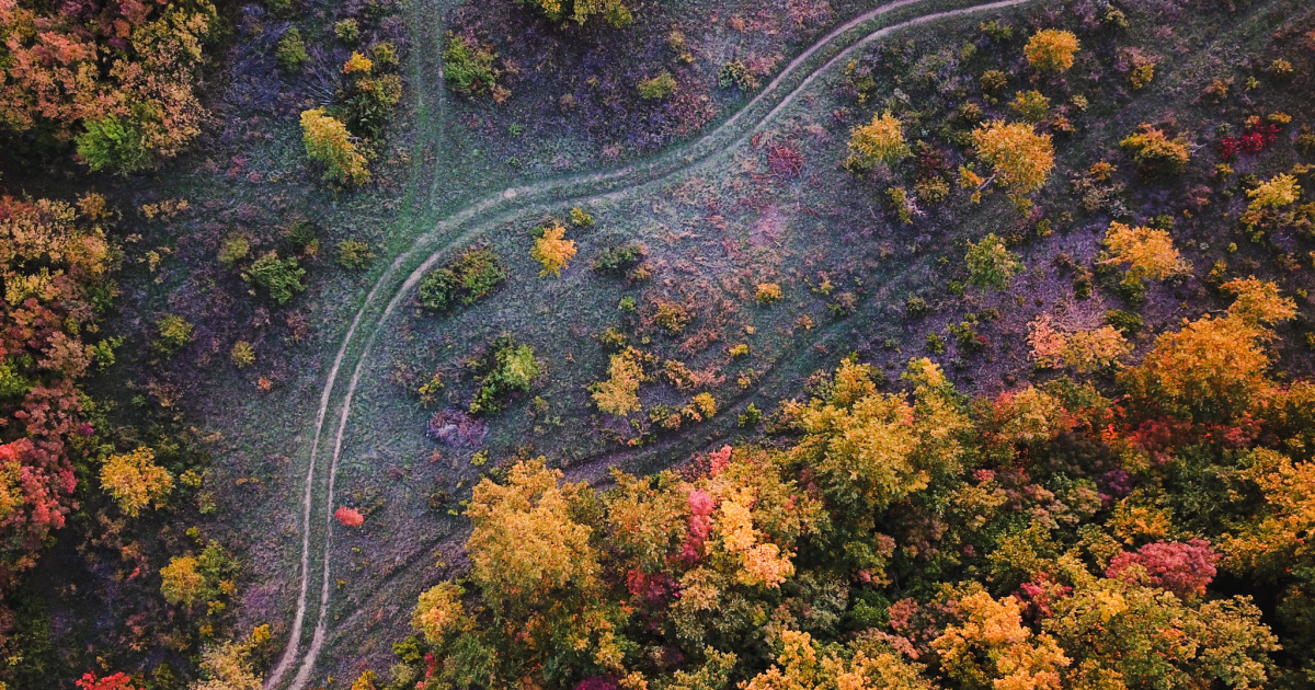 Венгрия осень фото несколько фотографий