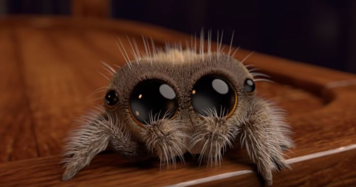 [Obrazek: adorable-animation-lucas-the-spider-josh...00-png.jpg]