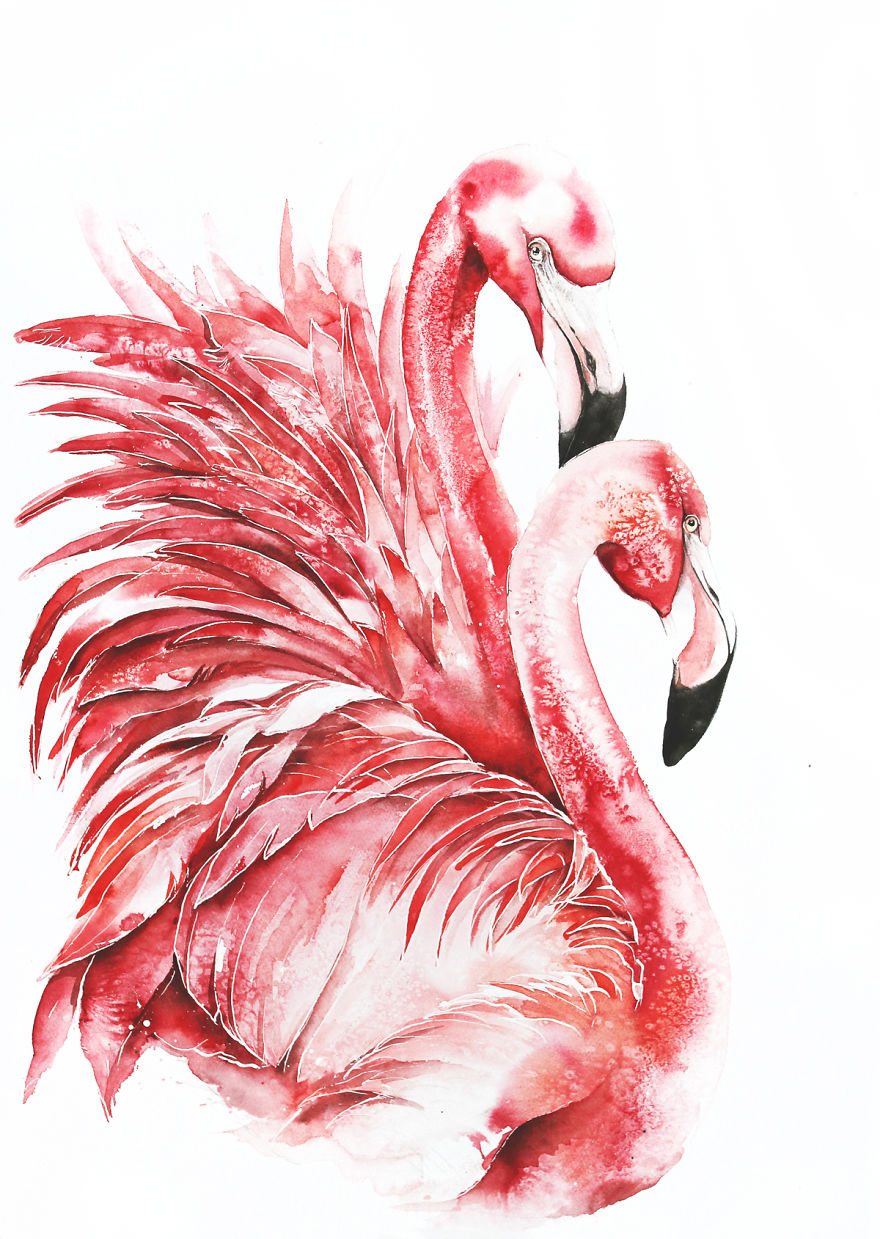 Розовый Фламинго акварель