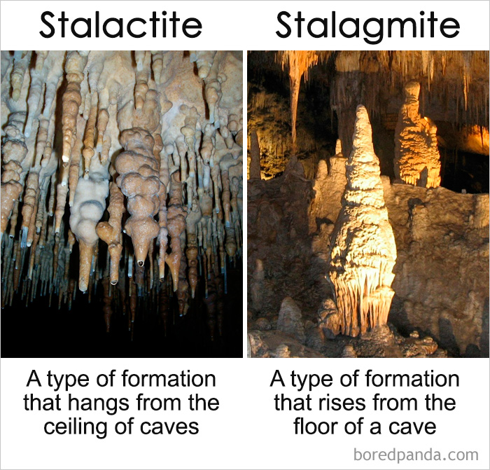 Сталактиты и сталагмиты в чем разница фото для детей
