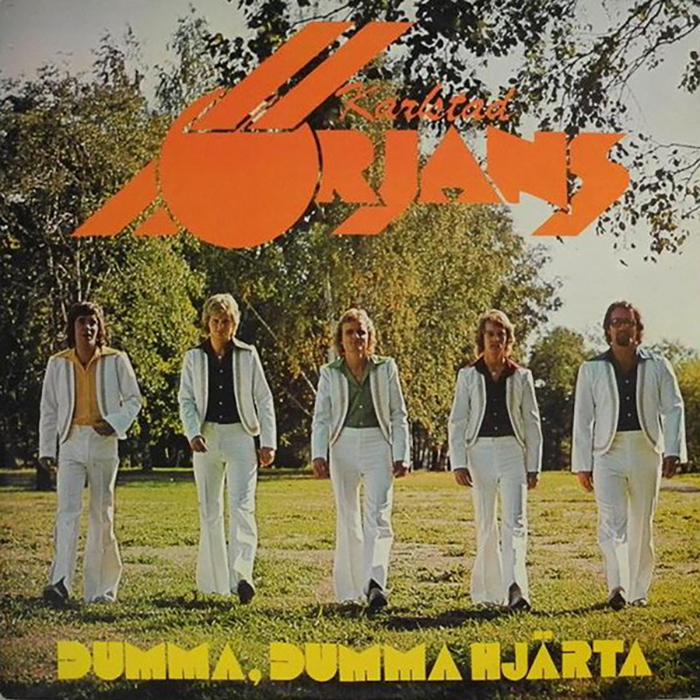 funny-swedish-band-covers-48-5addd1dba711a__700.jpg