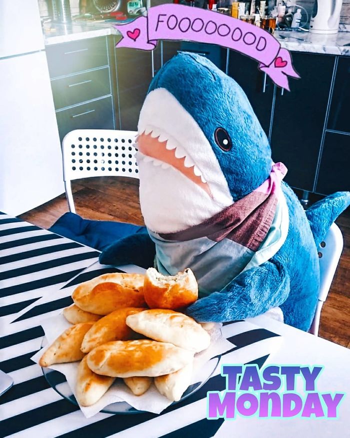 Sharks soft. Акула из Икеи. Смешные акулы из Икеи. Смешная плюшевая акула. Акула из Икеи аватарка.