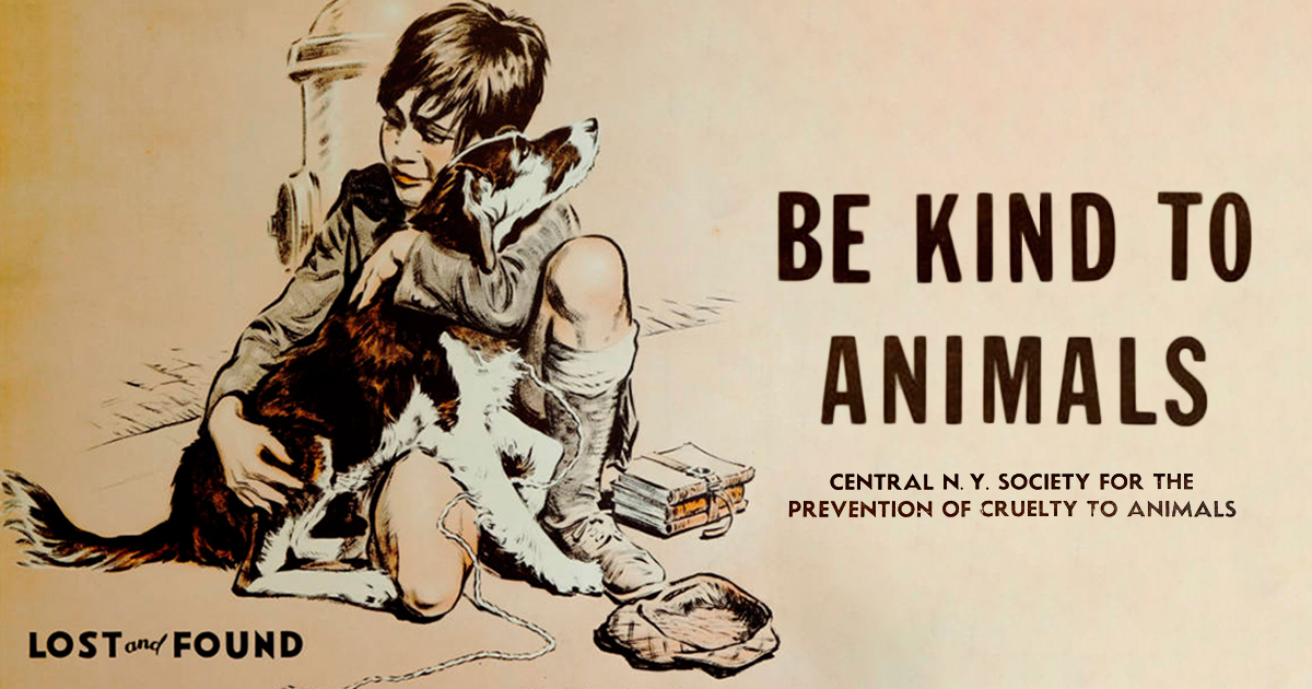 Be kind think kind. Be kind. Be kind to animals. To be kind. Be kind to all одежда.