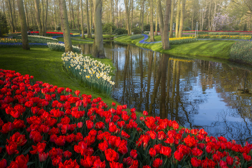 Keukenhof Tulip Garden