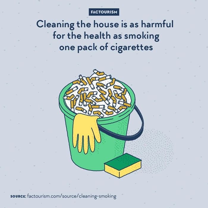 Interest 30. Day off cigarette. Clean the lungs Illustrator. Fake facts illustration.