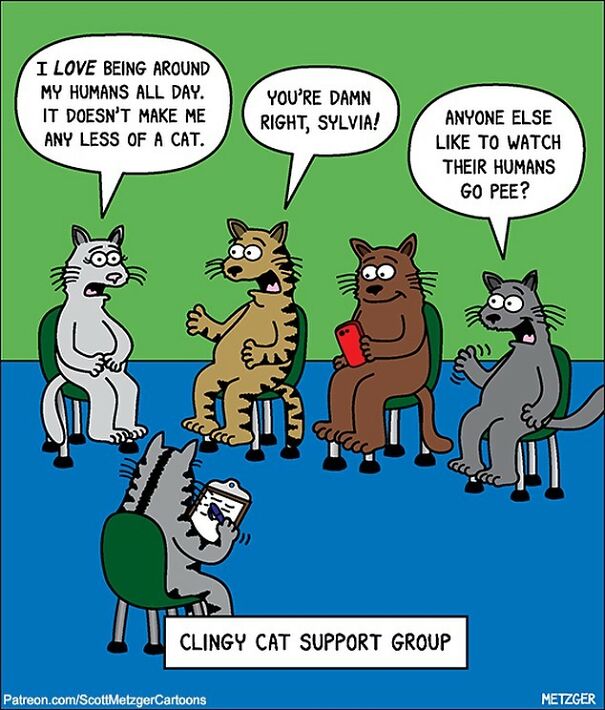 https://www.boredpanda.com/blog/wp-content/uploads/2020/11/cat-comics-scott-metzger-119-5fb77d4d3d582__605.jpg