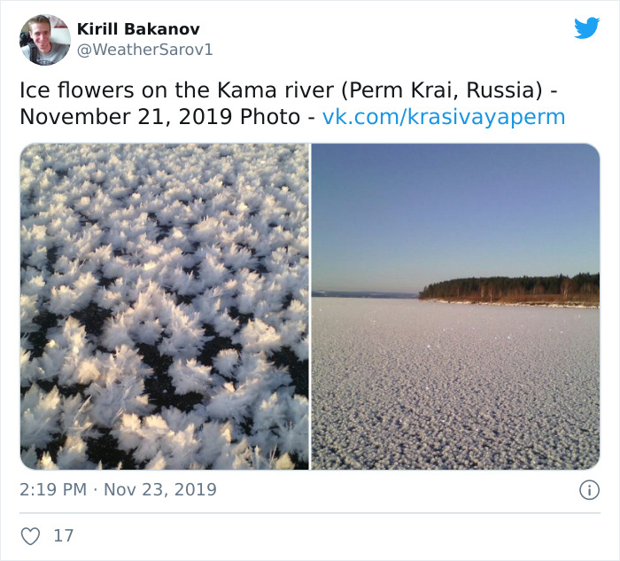 Russian weather. В виду аномальных погодных условий. Морозы ы России аномальные в 2021 замерл баран. Weather in Russia. Снежный бизнес