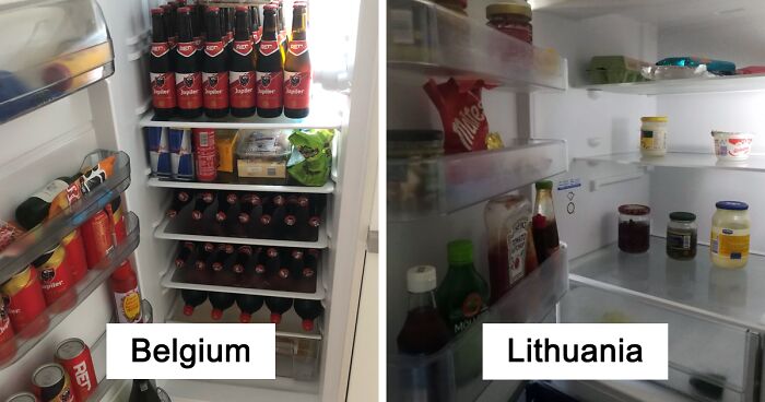 “Let’s Take A Look Into Your Fridge”: Person Asks For People To Show The Contents Of Their Fridges, And 29 Pandas Delivered