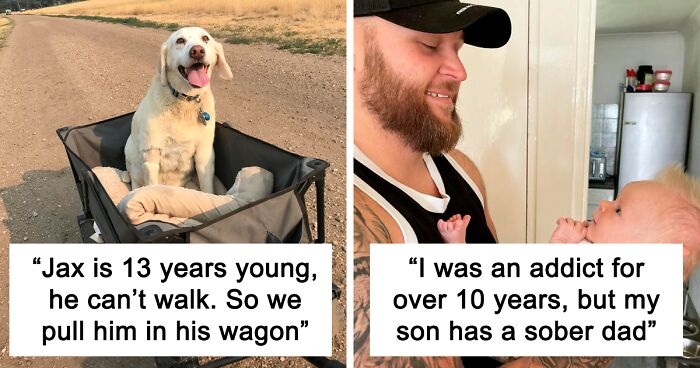 If You’re Feeling Down, These 50 Wholesome Posts Might Lift You Up (New Pics)