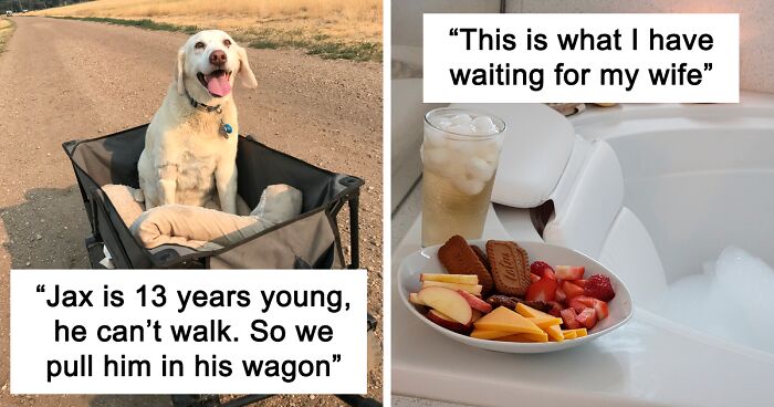 If You’re Feeling Down, These 50 Wholesome Posts Might Lift You Up (New Pics)