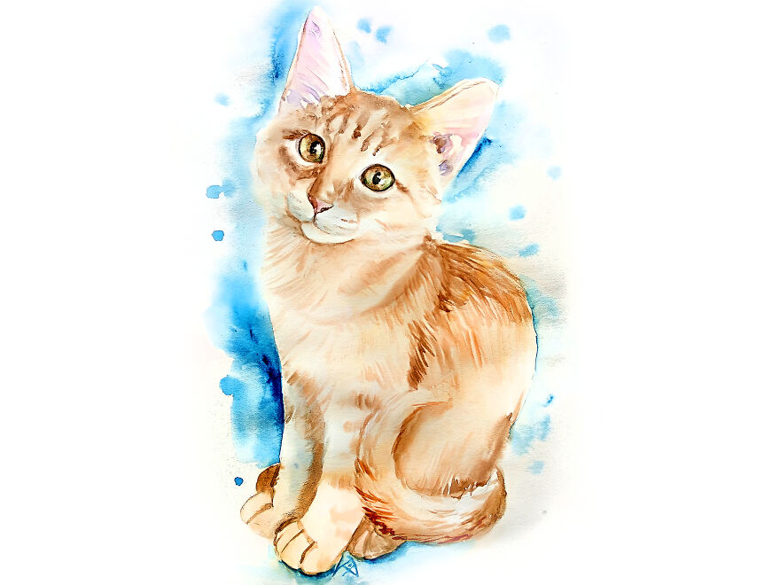 Artist Paints Portraits Of Pets To Save Stray Cats