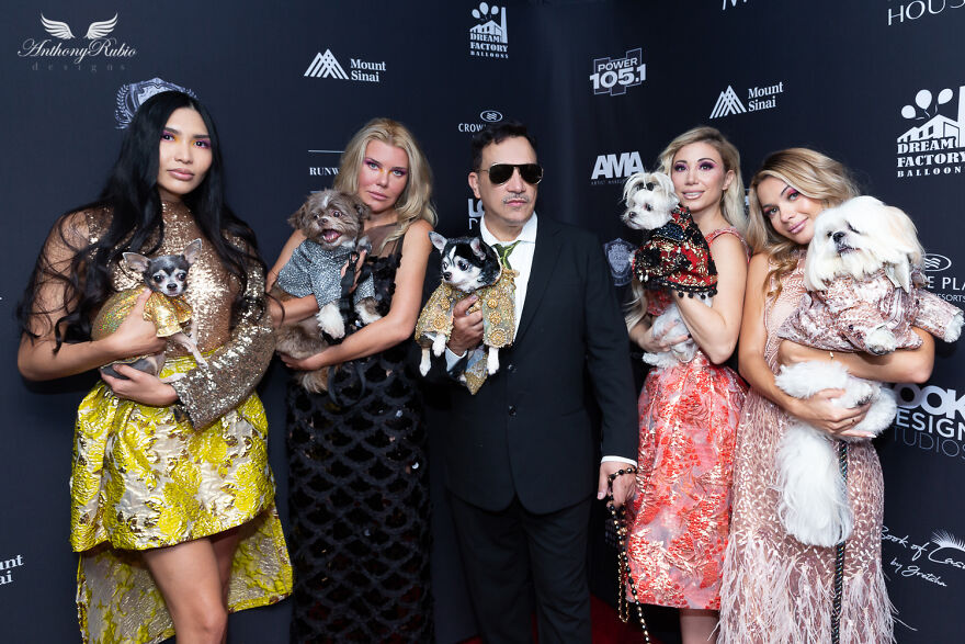 Canines In Haute Couture During New York Fashion Week