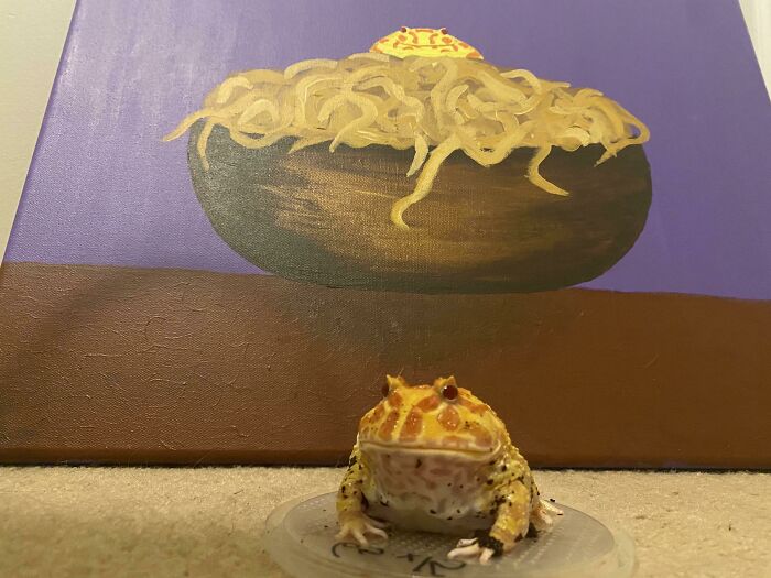 Painted Meatball On Top Of A Bowl Of Spaghetti. He Seems To Like It