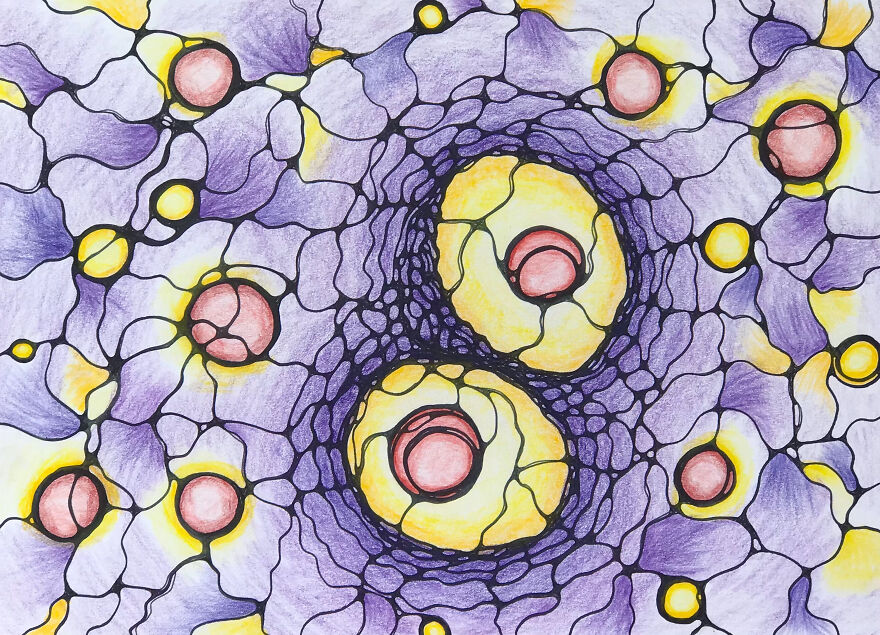 Cell Cycle.