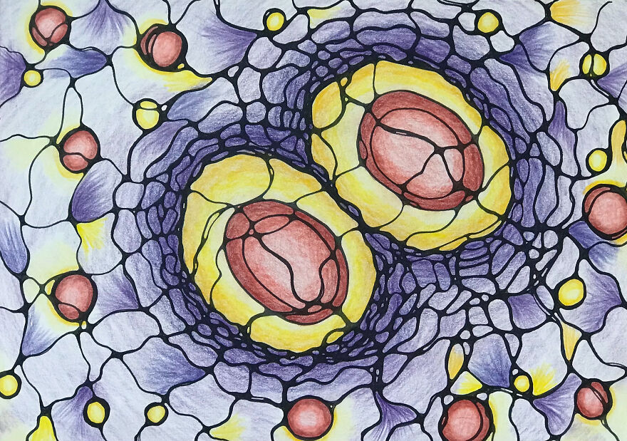 Cell Cycle.