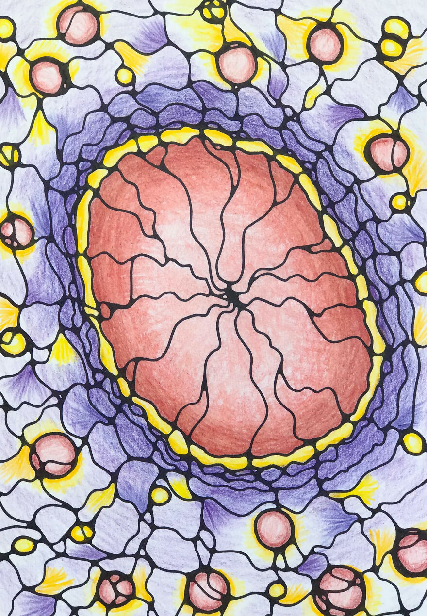 Cell Cycle.