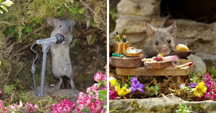 I Built A Little World In My Garden For Mice To Live In, And They're Thriving (30 Pics)