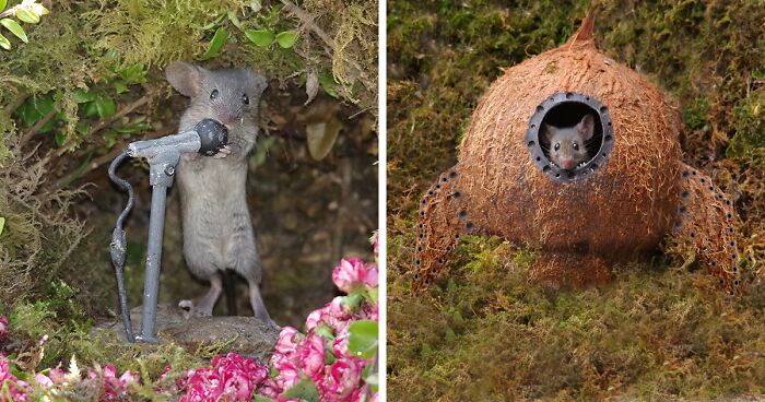 I Created A Little World In My Garden For Mice To Live In (30 Pics)