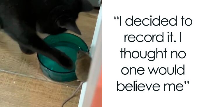 Man Catches His Cat Making Friends With A Mouse And Letting It Drink His Water