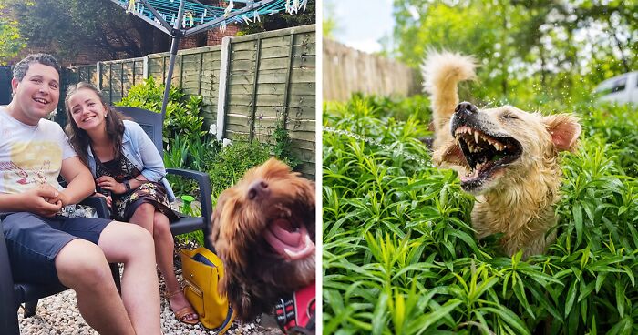 39 Of The Funniest Pet Pics Of This Year's 'Comedy Pet Photography Awards' Competition