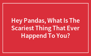 Hey Pandas, What Is The Scariest Thing That Ever Happend To You?