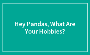 Hey Pandas, What Are Your Hobbies?