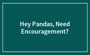 Hey Pandas, Need Encouragement?