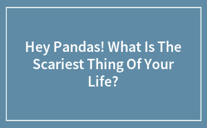 Hey Pandas! What Is The Scariest Thing Of Your Life?