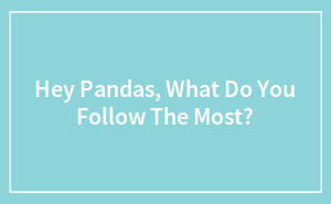 Hey Pandas, What Do You Follow The Most?