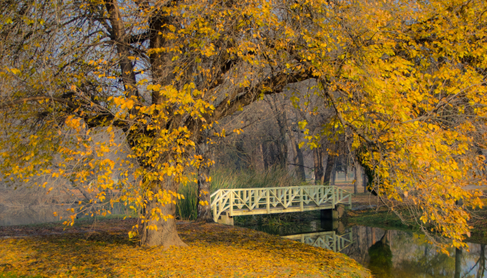 Autumn Begins Today, And Here Are My 12 Photos That Show What Autumn’s Like In Macedonia