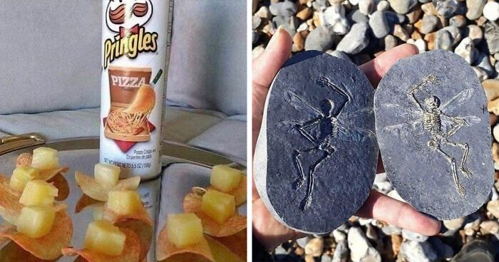 “I Want To Leave”: This Instagram Account Is Dedicated To Weird And Confusing Pics, And Here Are 70 Of The Best Ones