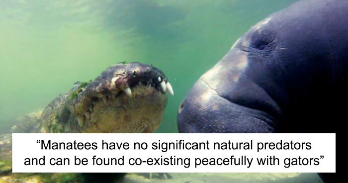 40 Lesser-Known Facts About Animals That Made People Say 'Aww' (New Pics)