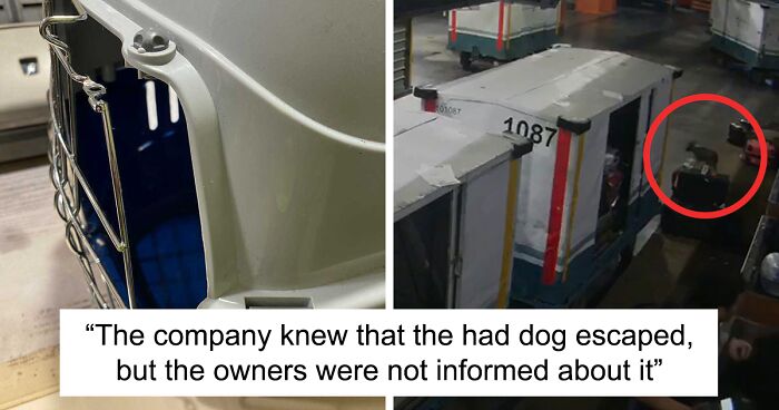 Russian Airport Staff Loses Woman's Beloved Dog, It Only Gets Found Due To Internet's Outrage Over The Situation